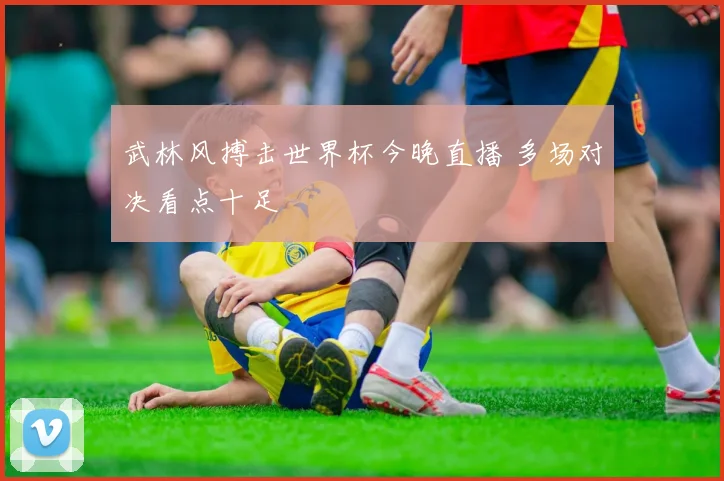 武林风搏击世界杯今晚直播 多场对决看点十足