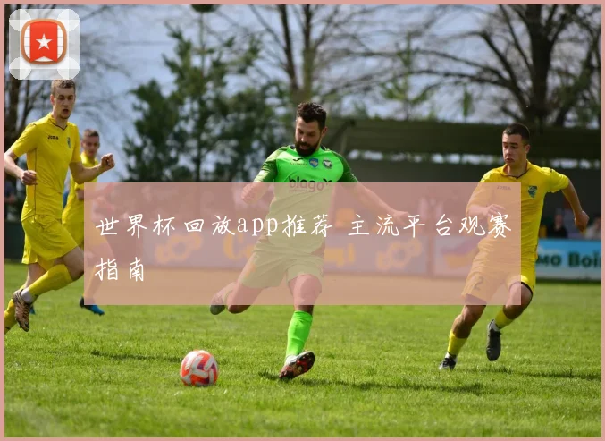 世界杯回放app推荐 主流平台观赛指南