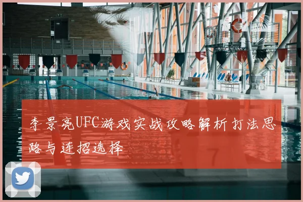 李景亮UFC游戏实战攻略解析打法思路与连招选择