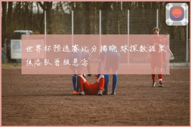 世界杯预选赛比分揭晓 球探数据聚焦各队晋级悬念